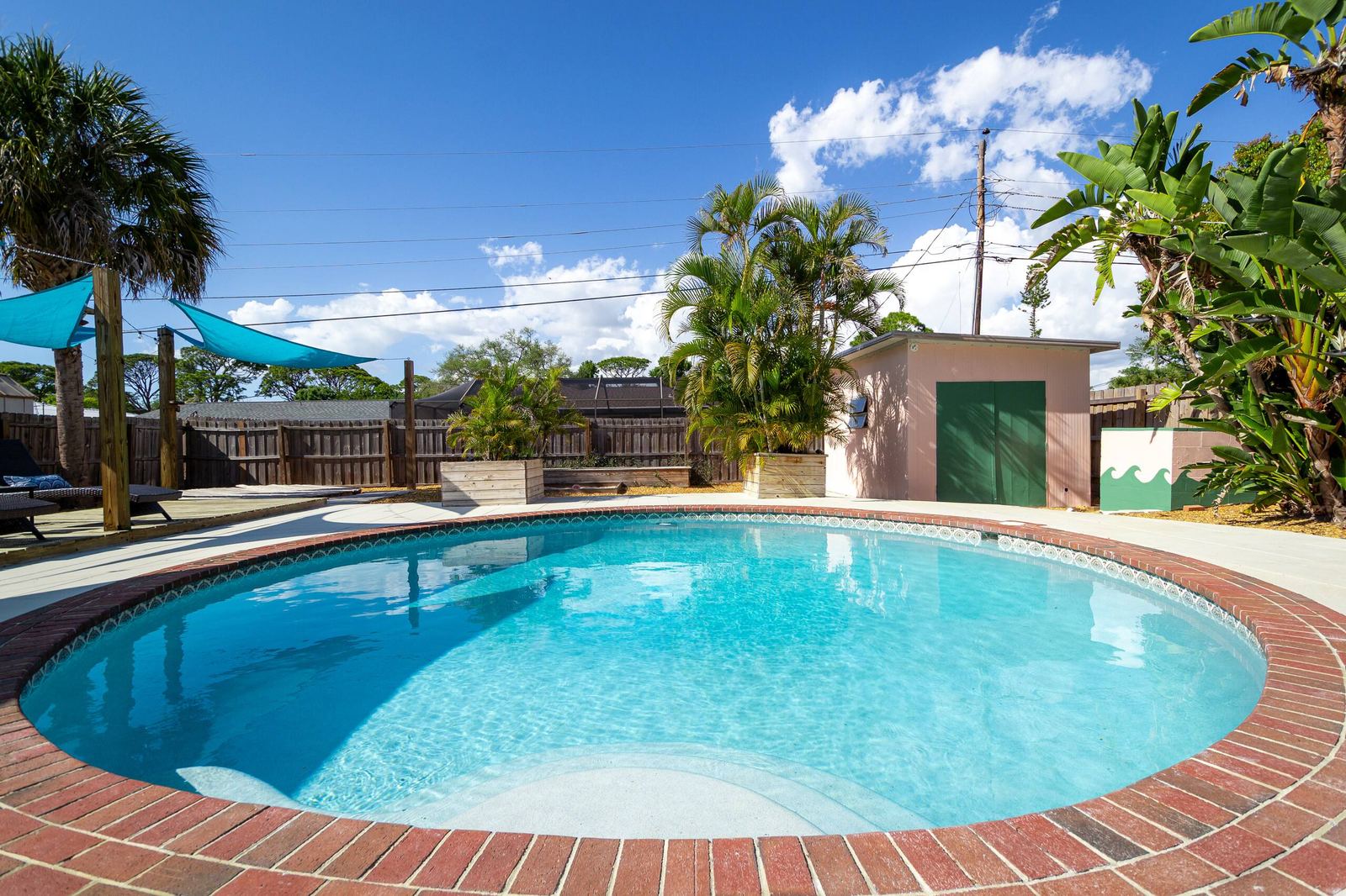 Tropical palms and planters around the saltwater pool